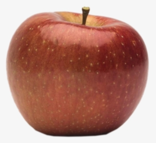 Apple Holler Evercrisp Apple - Mcintosh, HD Png Download, Transparent PNG