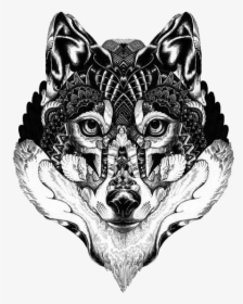 Gray Wolf Art Drawing Illustration - Graphic Art Black And White, HD Png Download, Transparent PNG