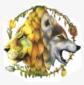 Amazing Collaboration Of Lion And Wolf Tattoo - Wolf And Lion Art, HD Png Download, Transparent PNG