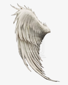 Wing Angel Clip Art - Male Angel Wings Hd Png, Transparent Png, Transparent PNG