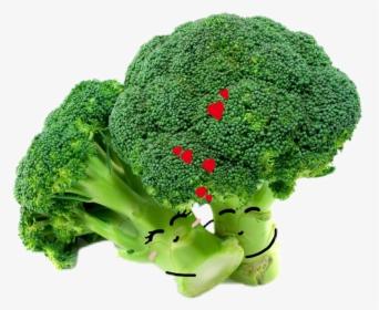 #brocoli #love - Fresh Broccoli, HD Png Download, Transparent PNG