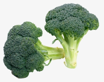 Clip Royalty Free Download Broccoli Vegetable Food - 菜花 蔬菜, HD Png Download, Transparent PNG
