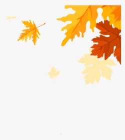 Maple Leaves Falling Png Download - Transparent Fall Leaves Falling, Png Download, Transparent PNG