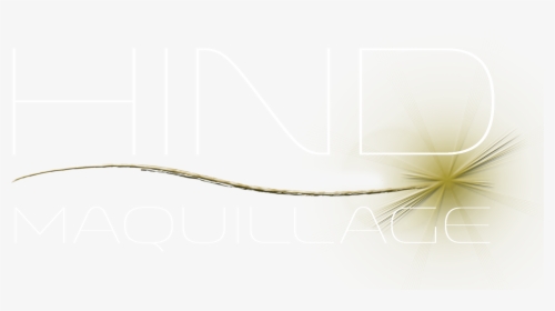 Hind Maquillage - Wire, HD Png Download, Transparent PNG