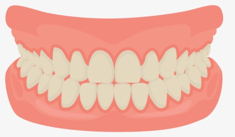 Dentures - Mouth Teeth Cartoon, HD Png Download, Transparent PNG