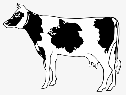 Cow, Livestock, Cattle, Farm, Animal, Beef, Milk - Cartoon Cow Side View, HD Png Download, Transparent PNG