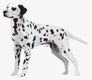 Dalmatian Dog Greeting & Note Cards Puppy Tote Bag - Dalmatian Vector Art, HD Png Download, Transparent PNG