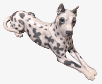Dalmatian Dog Whippet Great Dane Dog Breed Italian - Dalmastion Grey Hound, HD Png Download, Transparent PNG