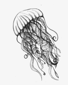 Jellyfish Drawing, HD Png Download, Transparent PNG