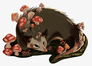 Mushroom Opossum - Illustration - Opossum Illustration, HD Png Download, Transparent PNG