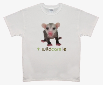 Baby Opossum T-shirt $25 Donation - Rat, HD Png Download, Transparent PNG