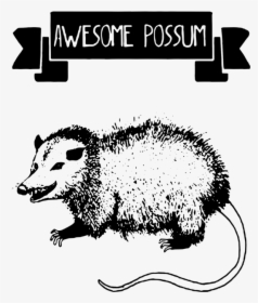 Funny Possum T Shirts, HD Png Download, Transparent PNG