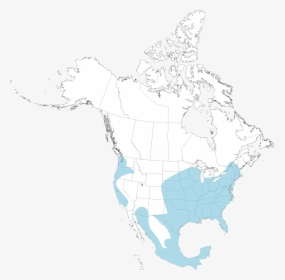 Opossum Map - North America Map Png, Transparent Png, Transparent PNG