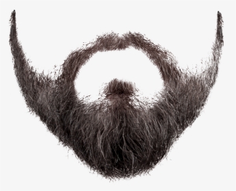 Graphic Free Clip Art And Moustache Transprent Png - Transparent Background Beard Png, Png Download, Transparent PNG