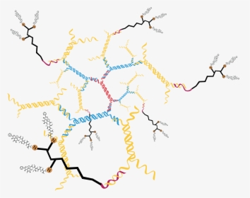 Oligo With 3 Drug Molecules 18 Drug Molecules On 3dna - Map, HD Png Download, Transparent PNG