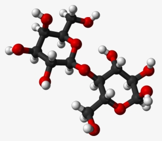 Clipart Science Molecule - Lactose Molecule, HD Png Download, Transparent PNG