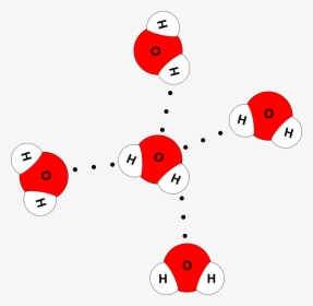 Water Molecule 4 Hydrogen Bonds, HD Png Download, Transparent PNG