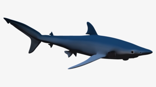 Hammerhead Shark Clip Art - 3d Shark Png, Transparent Png, Transparent PNG