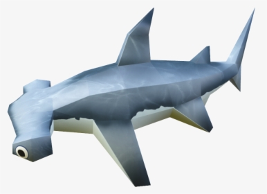 Hammerhead Shark - Requiem Shark, HD Png Download, Transparent PNG