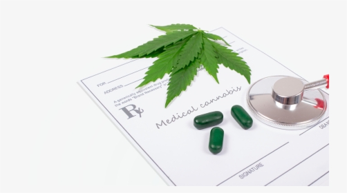 Medical Marijuana Paperwork And Stethescope - Pill, HD Png Download, Transparent PNG
