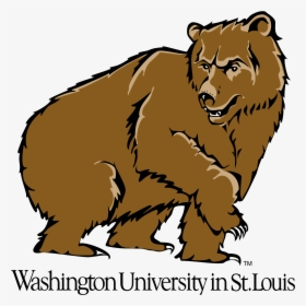 Washington University In St Louis, HD Png Download, Transparent PNG