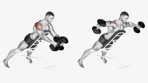 Incline Rear Lateral Raises, HD Png Download, Transparent PNG