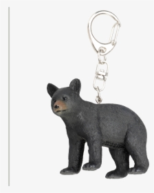 Keychains & Accessories - American Black Bear, HD Png Download, Transparent PNG