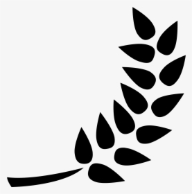 Transparent Curves Png - Png Gandum, Png Download, Transparent PNG