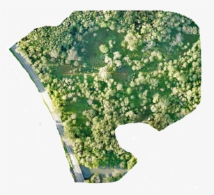 Image - Atlas, HD Png Download, Transparent PNG