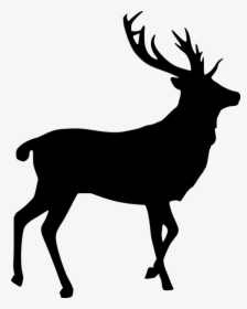Elk, Silhouette, Cut Out, Stag, Bull - Elk Png, Transparent Png, Transparent PNG