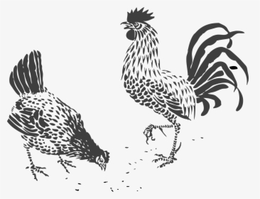 Transparent Rooster Drawing - Black And White Chicken Designs, HD Png Download, Transparent PNG