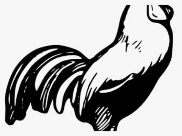 Easy Draw Free - Rooster Black And White Clipart, HD Png Download, Transparent PNG
