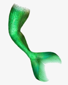 Mermaid Tail Portable Network Graphics Clip Art Image - Mermaid Tail Transparent, HD Png Download, Transparent PNG