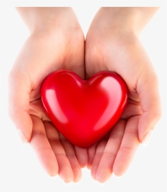 Transparent Hand Heart Png - Heart In Hand Png, Png Download, Transparent PNG