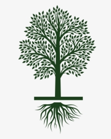 Tree Growing Clipart, HD Png Download, Transparent PNG