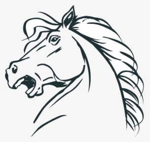 Coloring In Horse Head, HD Png Download, Transparent PNG