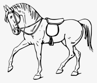 Horse Clipart Black And White - Outline Pictures Of Horse, HD Png Download, Transparent PNG