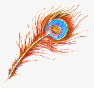 Beautiful Hand Painted Peacock Feathers Hd Png - Janmashtami Vector Images Png, Transparent Png, Transparent PNG