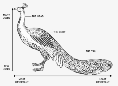 Illustration Of A Peacock With The Head, The Body,, HD Png Download, Transparent PNG