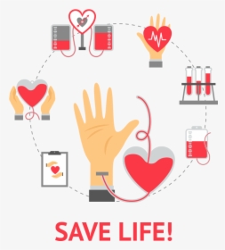 Vector Freeuse Library Organ Web Portal Bowp - Transparent Blood Donation Png, Png Download, Transparent PNG