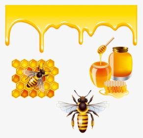 Transparent Honeybee Png - Honey Bees Bee Png, Png Download, Transparent PNG