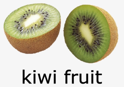 Kiwi Fruit - Kiwi Clipart, HD Png Download, Transparent PNG