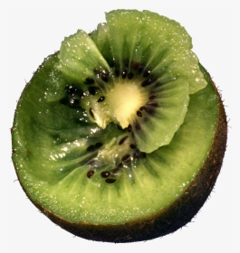 Kiwifruit,green,hardy - Kiwifruit Tree In Png, Transparent Png, Transparent PNG
