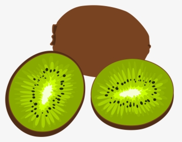 Vector Black And White Download Kiwi Clipart Fruit - Kiwi Svg, HD Png Download, Transparent PNG