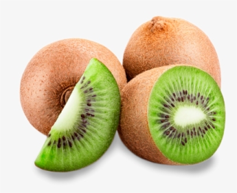 Kiwi Clipart Fruit Philippine - Kiwifruit, HD Png Download, Transparent PNG