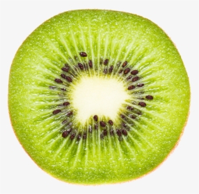 Kiwifruit Actinidia Deliciosa Hardy Kiwi Vegetable - Rondelle Kiwi Png, Transparent Png, Transparent PNG