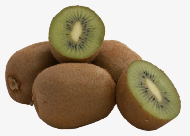 Fruit Kiwi Green Free Photo - Kiwi Fruit In Odia, HD Png Download, Transparent PNG