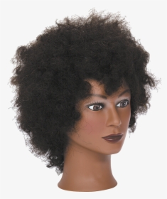 Transparent Manikin Png - Afro Wig On Manican, Png Download, Transparent PNG