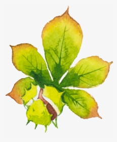 Hand-painted Green Leaf Hd Beautiful Png - Watercolor Paint, Transparent Png, Transparent PNG