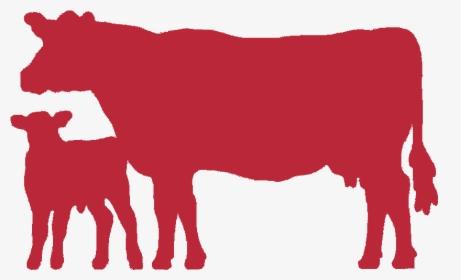 Indian Cow Images Png, Transparent Png, Transparent PNG